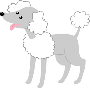 acclaim clipart: a male poodle